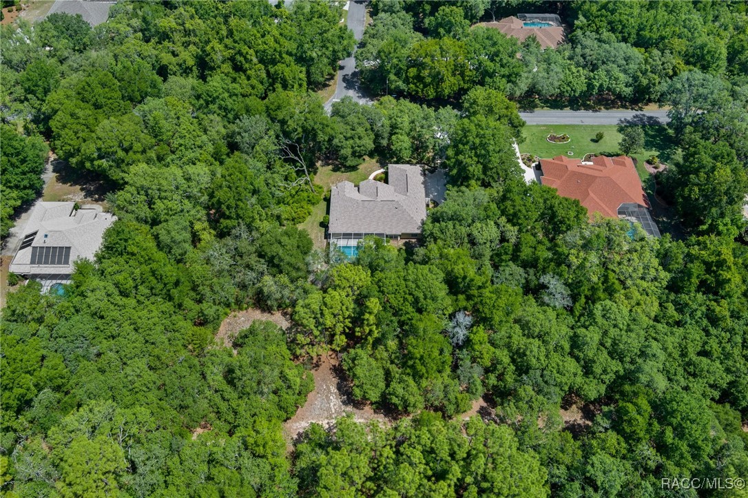 952 E Whitecloud Lane, Hernando, New York image 6