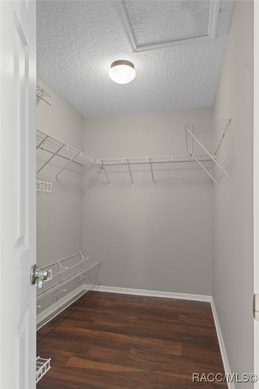 952 E Whitecloud Lane, Hernando, New York image 39