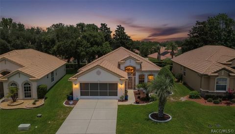 Homes For Sale - 1148 W Diamond Shore Loop<br/> Hernando, FL 34442
