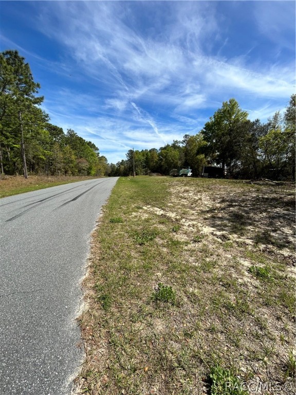 2090 W Roseboro Drive, Citrus Springs, Florida image 4