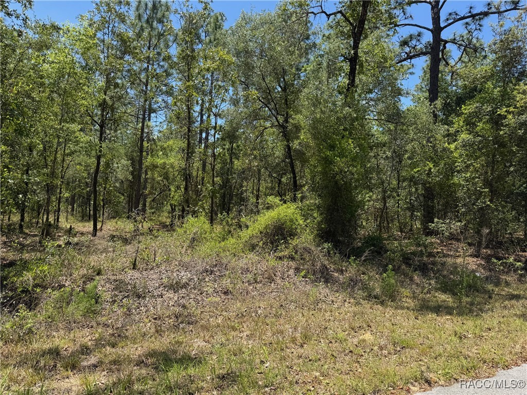 TBD Nw Hillsdale Avenue, Dunnellon, Florida image 4