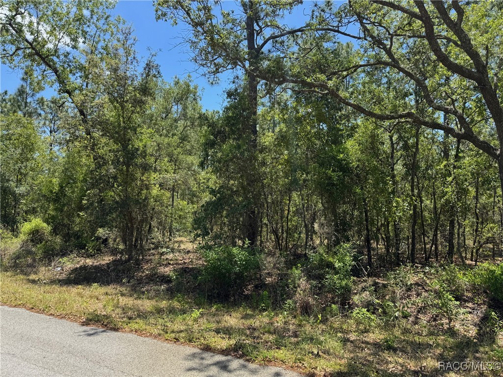 TBD Nw Hillsdale Avenue, Dunnellon, Florida image 3