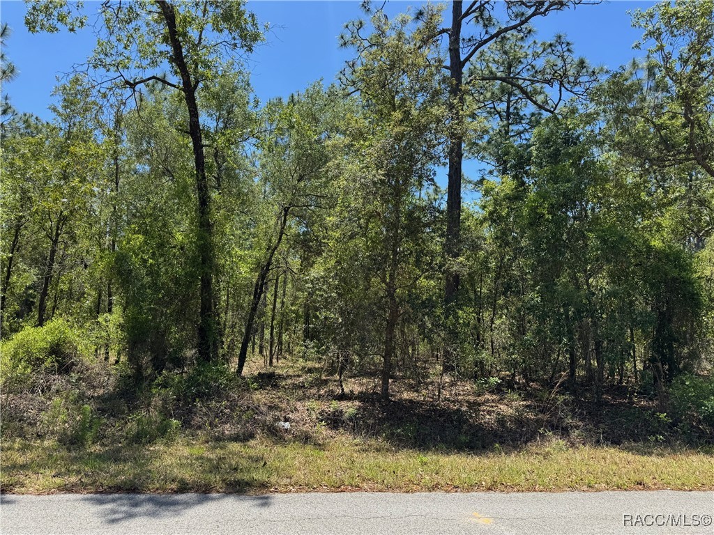 TBD Nw Hillsdale Avenue, Dunnellon, Florida image 5