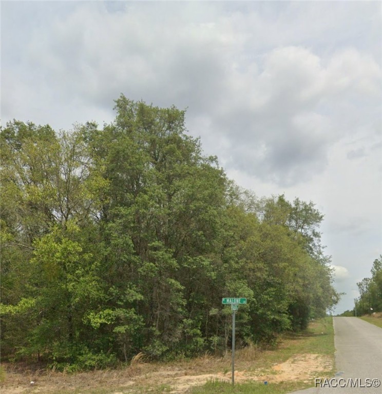 6310 N Darlington Drive, Dunnellon, New York image 3