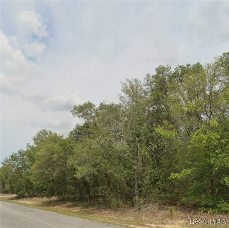 6310 N Darlington Drive, Dunnellon, New York image 2