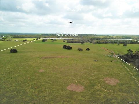 12884 S Pleasant Grove Road Floral City FL 34436