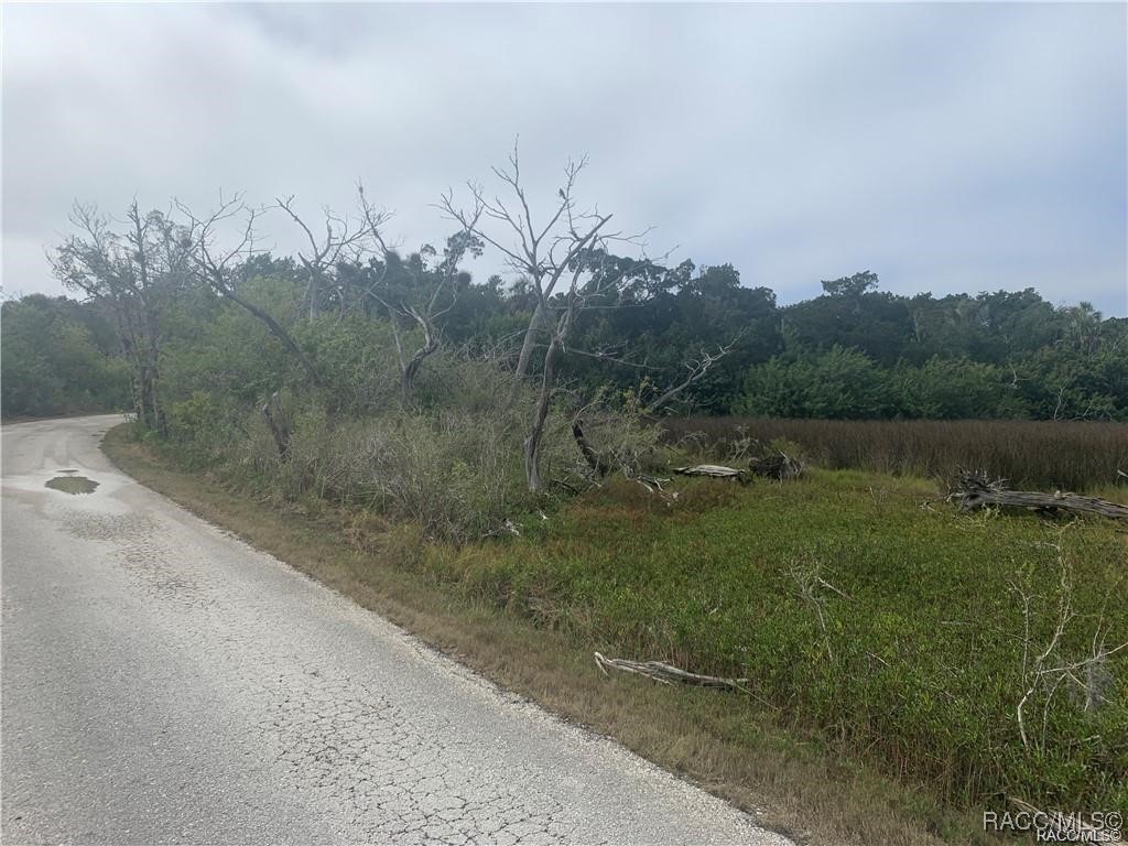 2550 S Diecidue Drive, Crystal River, Florida image 12