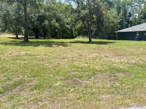 Vacant Land For Sale - 521 E Abend Drive<br/> Citrus Springs, FL 34434