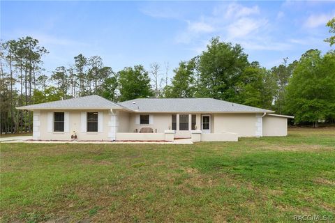 Homes For Sale - 9000 SW 206th Court Road<br/> Dunnellon, FL 34431