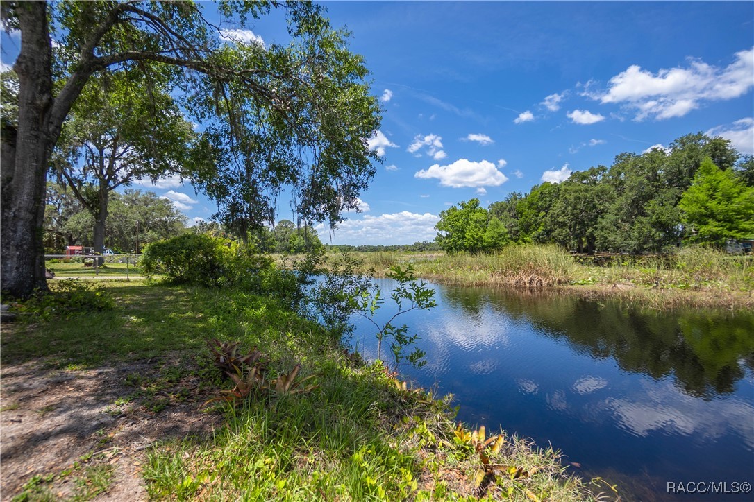 8915 E Echo Court, Inverness, Florida image 21