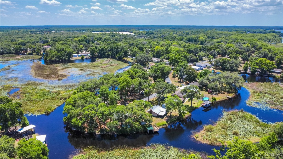8915 E Echo Court, Inverness, Florida image 49