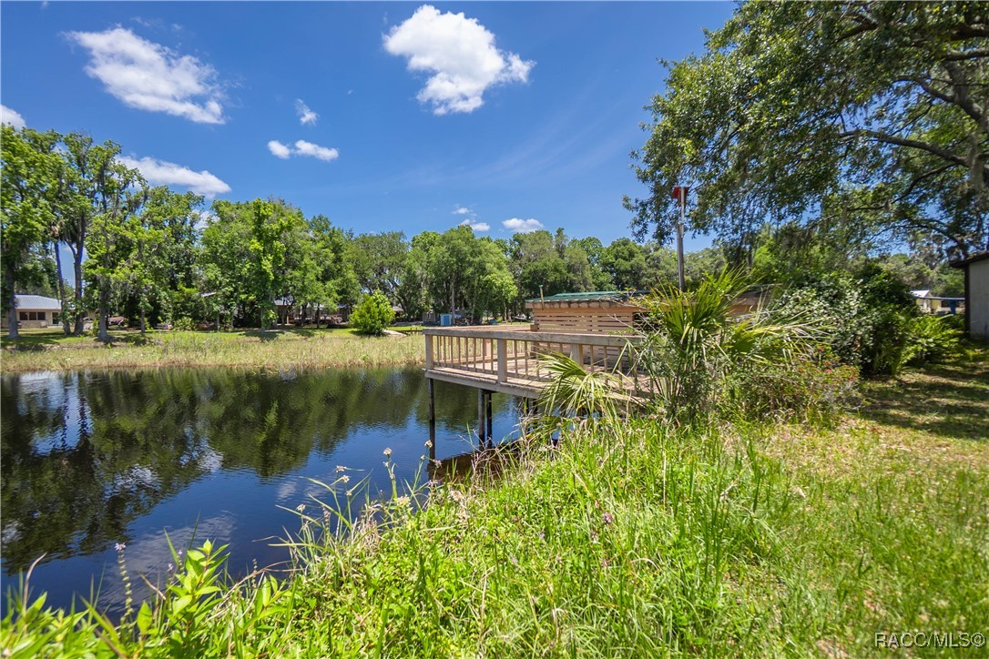 8915 E Echo Court, Inverness, Florida image 22