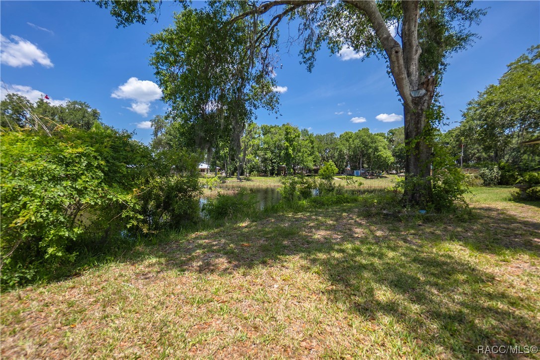 8915 E Echo Court, Inverness, Florida image 19