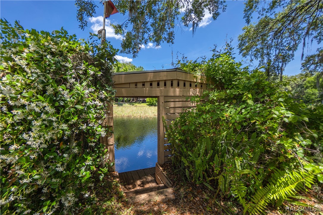 8915 E Echo Court, Inverness, Florida image 24
