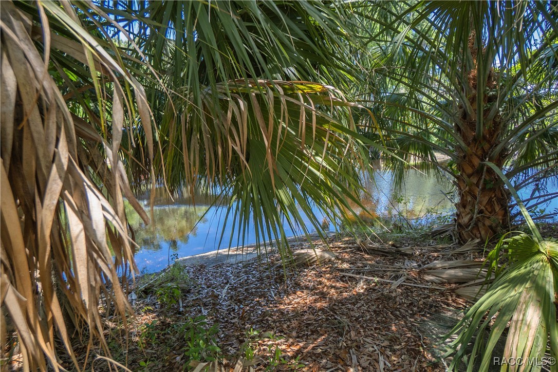 8915 E Echo Court, Inverness, Florida image 40