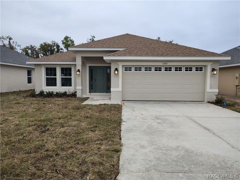 Homes For Sale - 1260 Turnstone Terrace<br/> Inverness, FL 34453