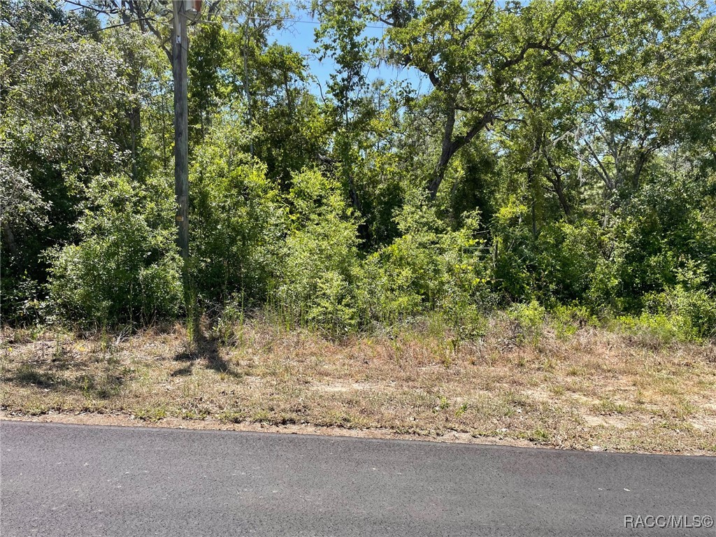 5437 W Cinnamon Ridge Drive, Lecanto, New York image 1