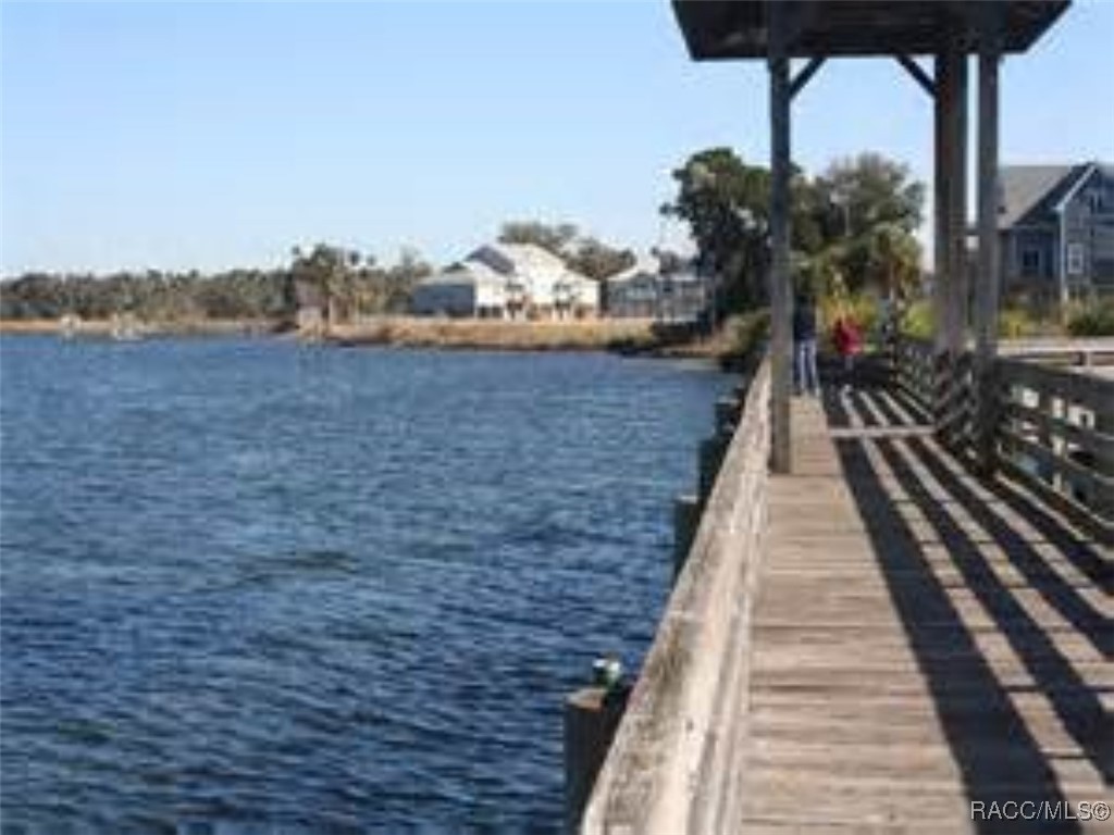5437 W Cinnamon Ridge Drive, Lecanto, New York image 11