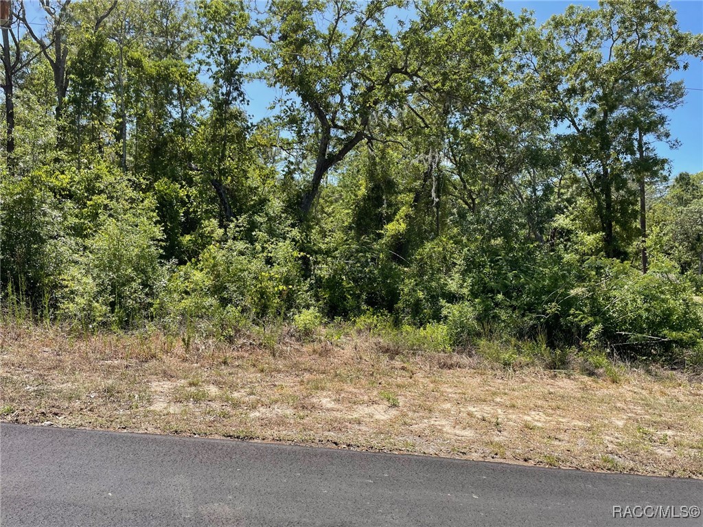 5437 W Cinnamon Ridge Drive, Lecanto, New York image 2