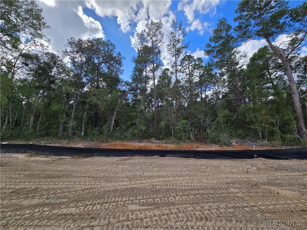 2609 Clearwood Street