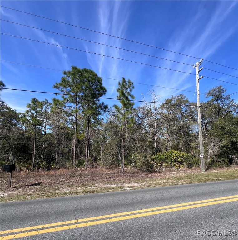5715 W Oaklawn Street, Homosassa, Florida image 2