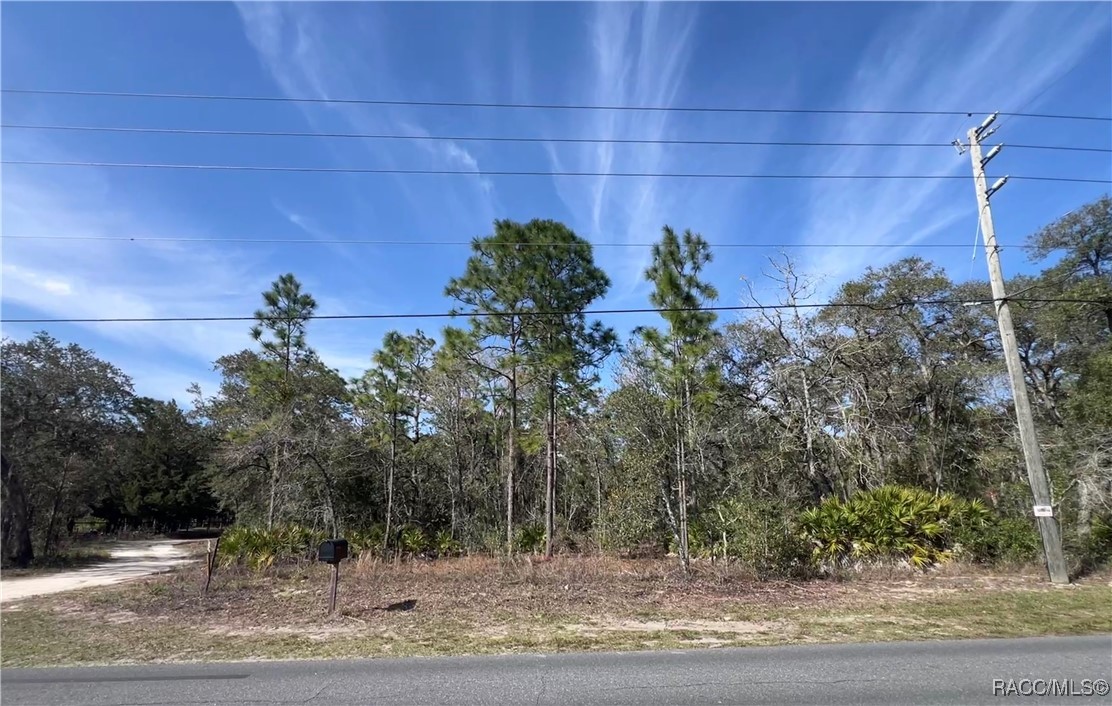 5715 W Oaklawn Street, Homosassa, Florida image 1