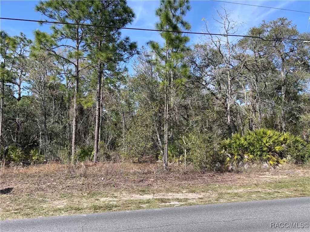 5715 W Oaklawn Street, Homosassa, Florida image 3