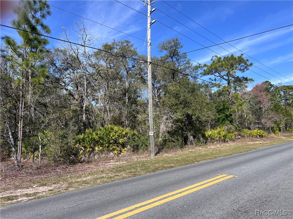 5715 W Oaklawn Street, Homosassa, Florida image 5