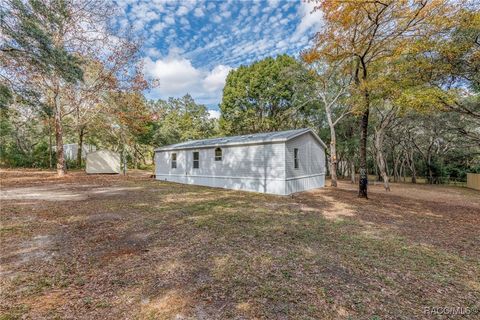 A home in Hernando