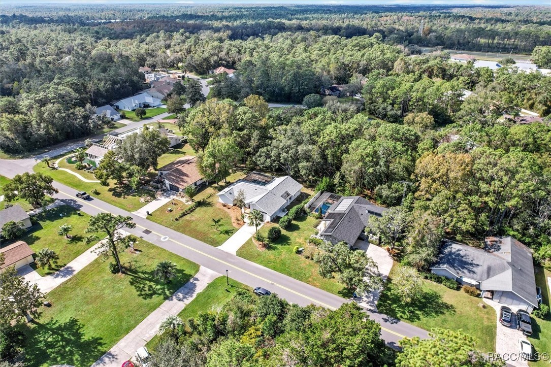 130 Douglas Street, Homosassa, Florida image 38