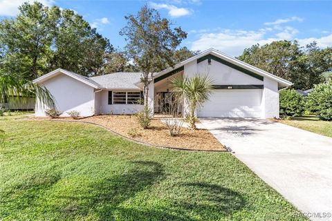 A home in Homosassa