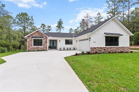 1253 E Hobart Lane Hernando FL 34442
