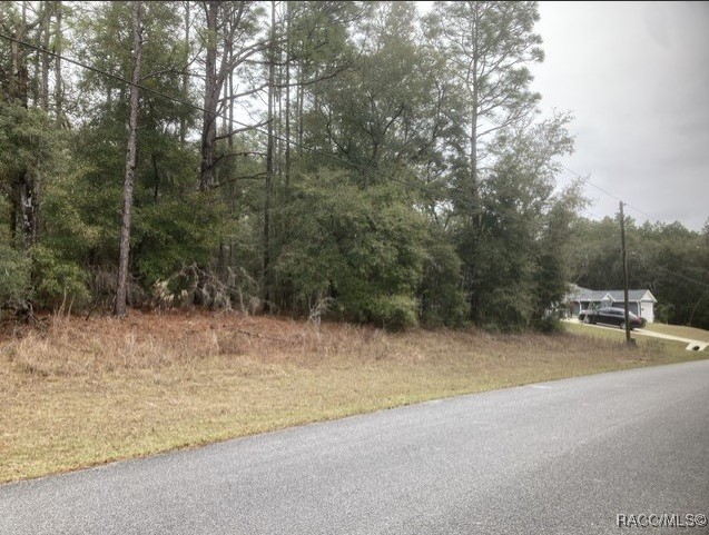 261 W Wason Street, Citrus Springs, Florida image 3
