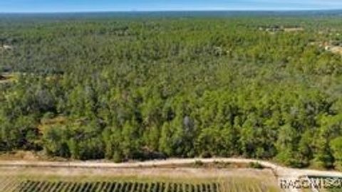 Vacant Land For Sale - 9478 N Timber Creek Terrace<br/> Dunnellon, FL 34433