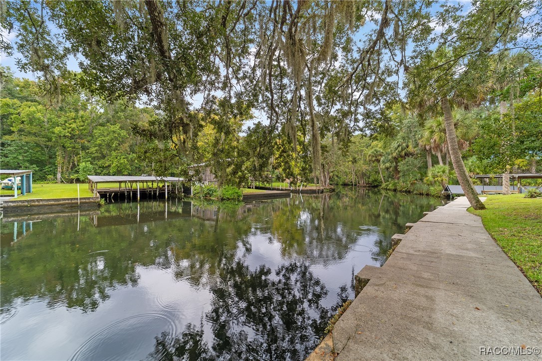 10096 S Riviera Point, Homosassa, Florida image 4