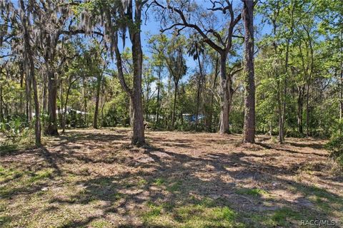 Vacant Land For Sale - 1325 NW 19th Street<br/> Crystal River, FL 34428