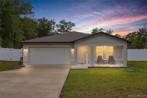 10116 N Allegheny Way Citrus Springs FL 34434