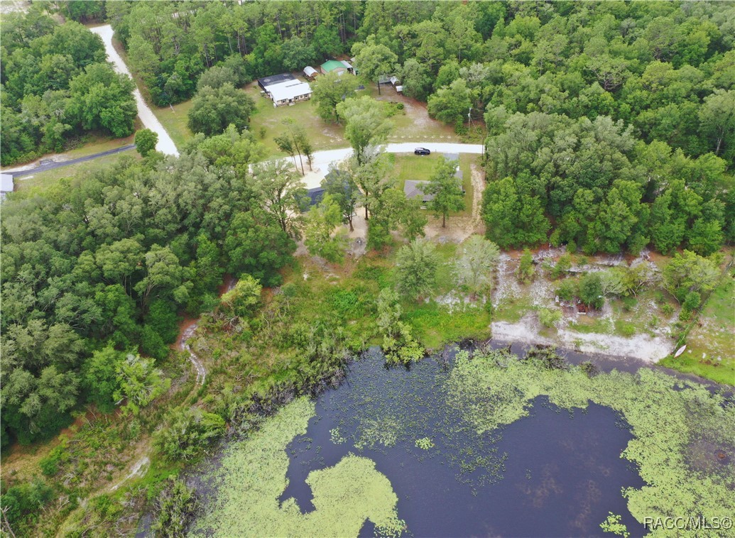 17752 SW 36th Loop, Dunnellon, Florida image 43
