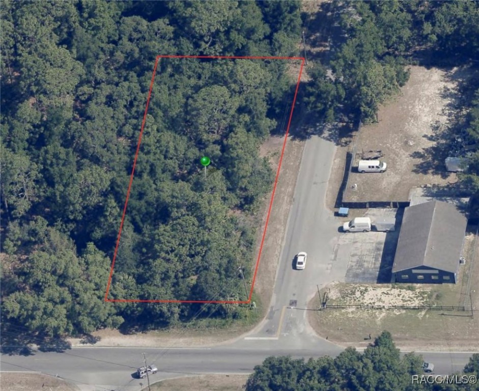 2980 S Bolton Avenue, Homosassa, New York image 2
