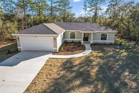 A home in Citrus Springs
