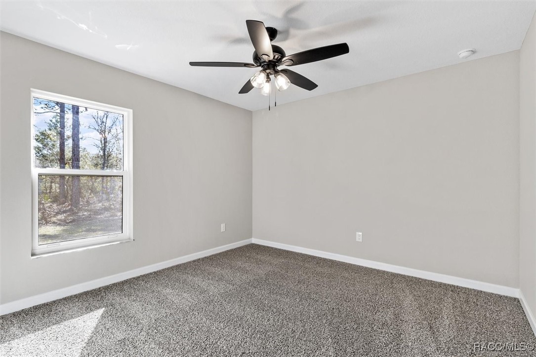 3000 W Higgins Place, Citrus Springs, New York image 26