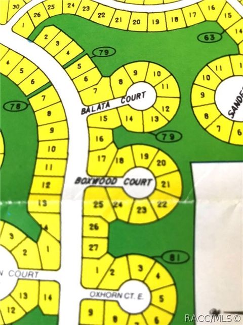 Vacant Land For Sale - 2 Boxwood Court<br/> Homosassa, FL 34446