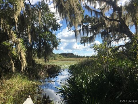 2350 Lake Tsala Apopka Street Inverness FL 34450