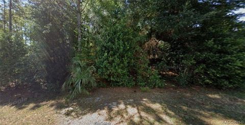 Vacant Land For Sale - 841 N Lafayette Way<br/> Inverness, FL 34453
