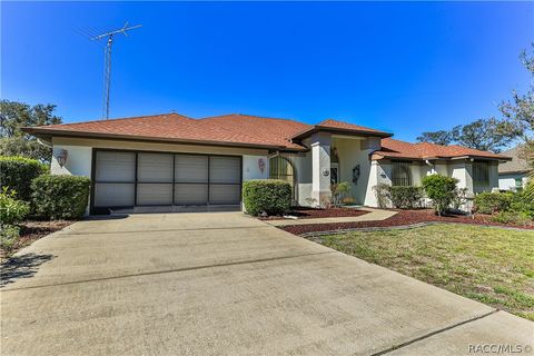 Homes For Sale - 21 Poplar Court<br/> Homosassa, FL 34446