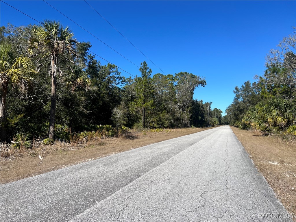 10054 N Twinflower Terrace, Crystal River, Florida image 1