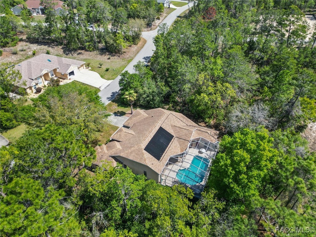 20 Matricaria Court, Homosassa, Florida image 49