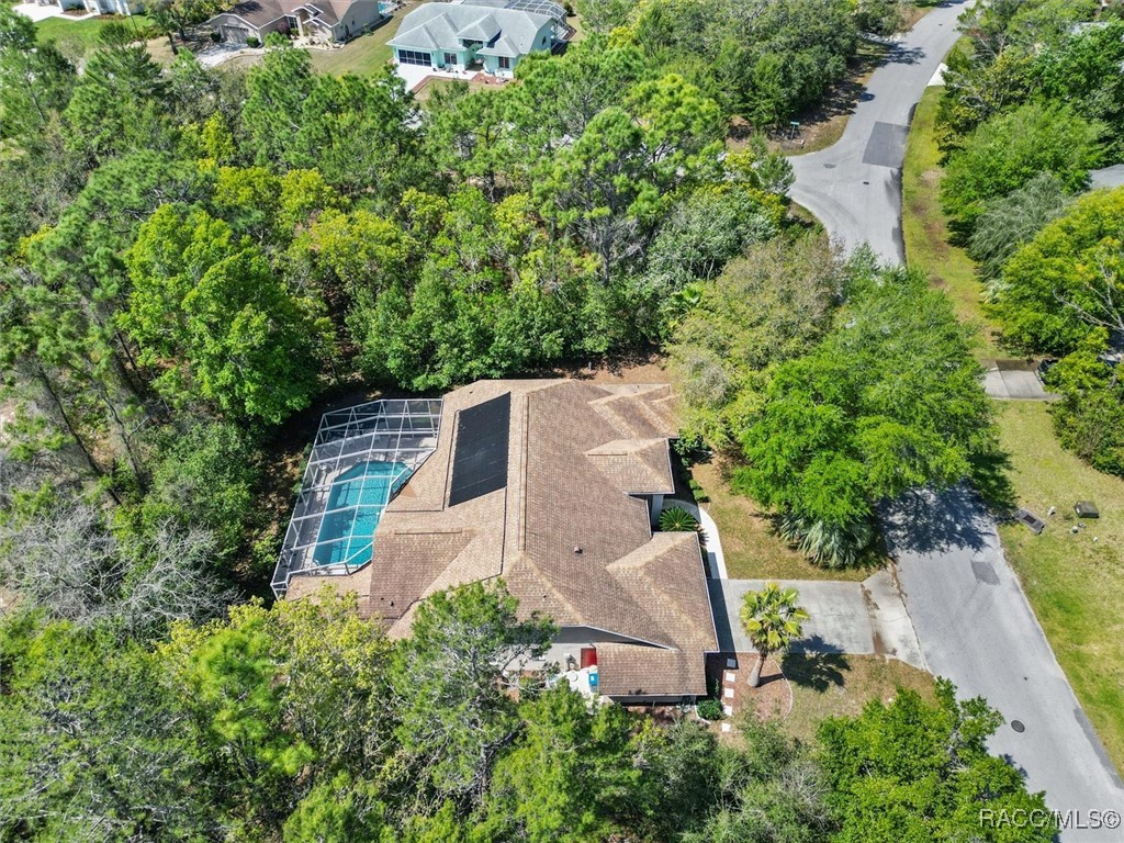 20 Matricaria Court, Homosassa, Florida image 50