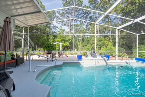 16 Plum Court Homosassa FL 34446