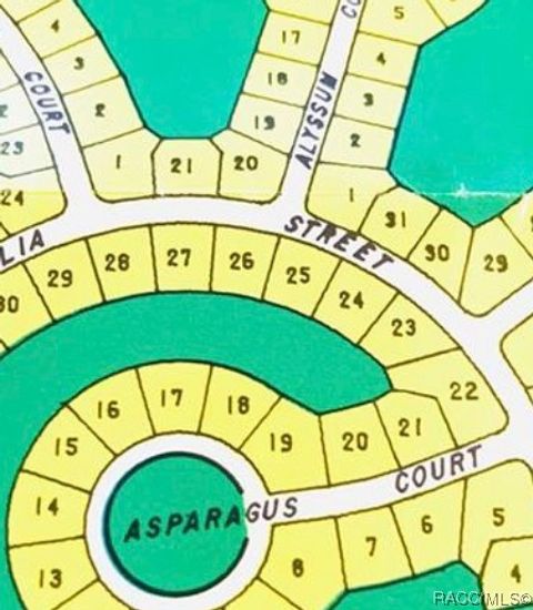 Vacant Land For Sale - 16 Saintpaulia Street<br/> Homosassa, FL 34446